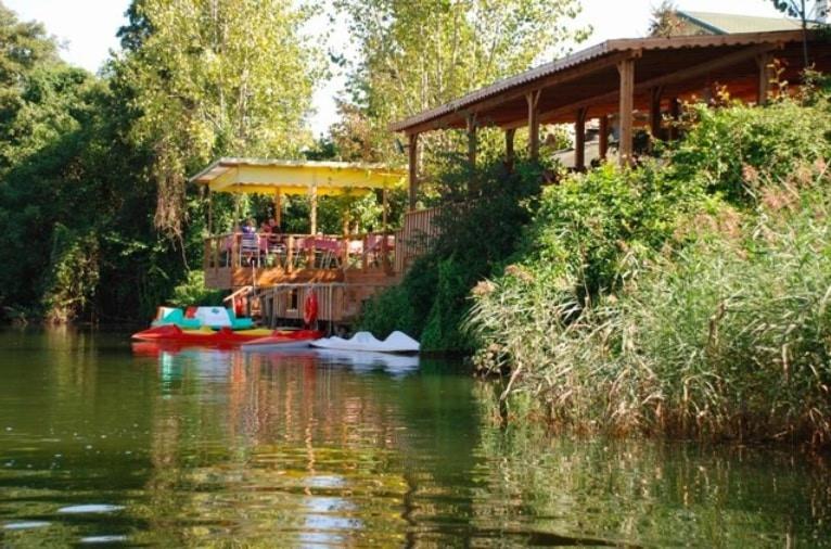 Treetops Park Hotel Ağva Exterior foto
